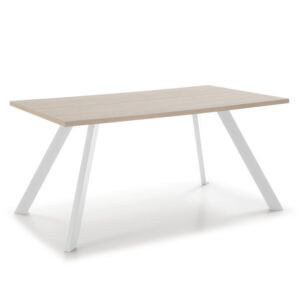 Mesa LIONA